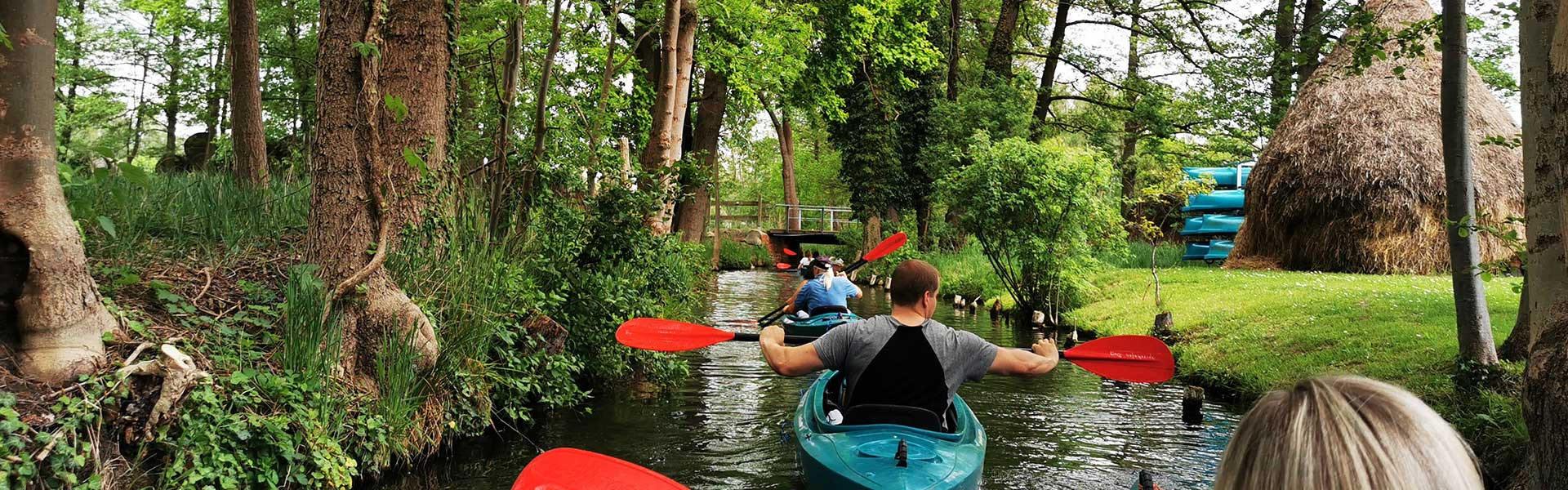 Paddle Discounter -Paddle Discounter 2